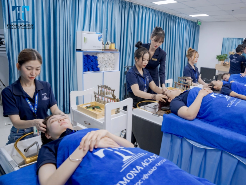 Học viện Timona Academy được nhiều học viên lựa chọn