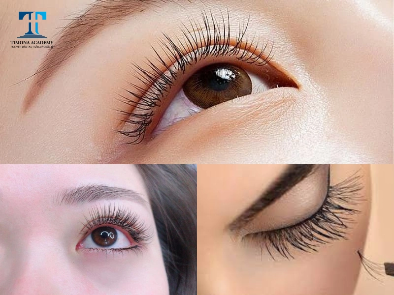 Các trung tâm dạy nhiều kiểu dáng mi khác nhau