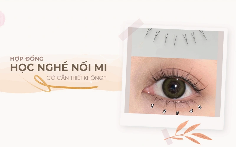 Hợp đồng học nghề nối mi