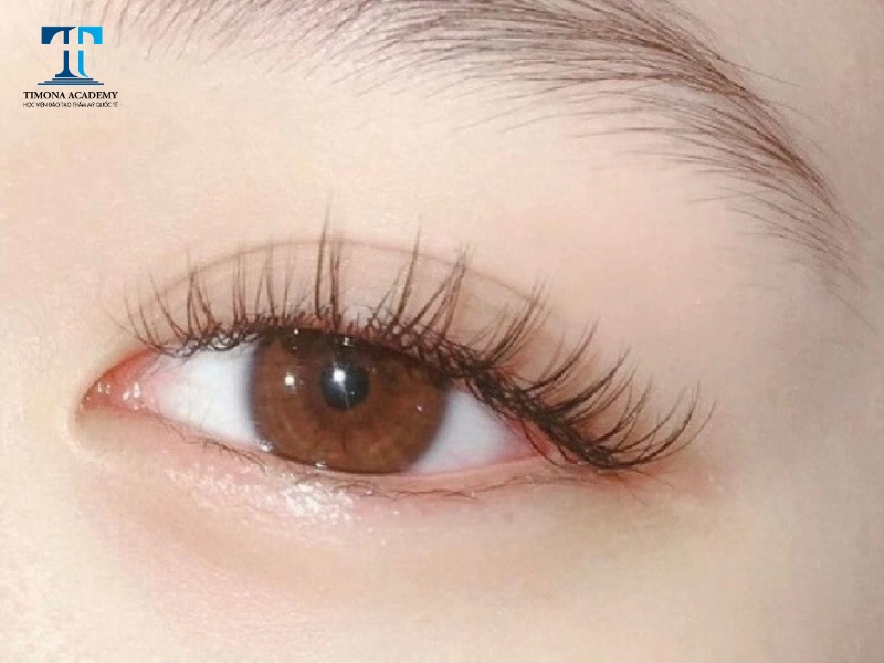 Classic là mẫu nối mi đơn giản và tự nhiên