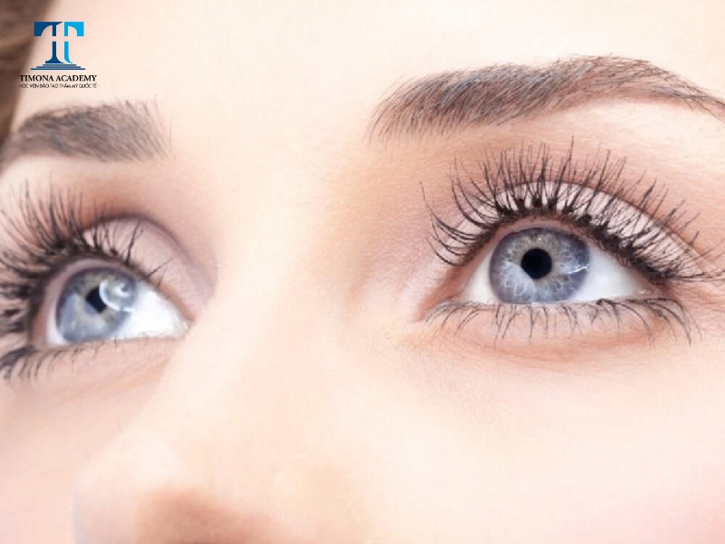 Nối mi eyeliner