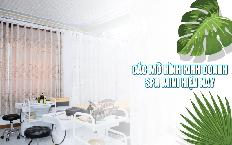 mô hình spa mini