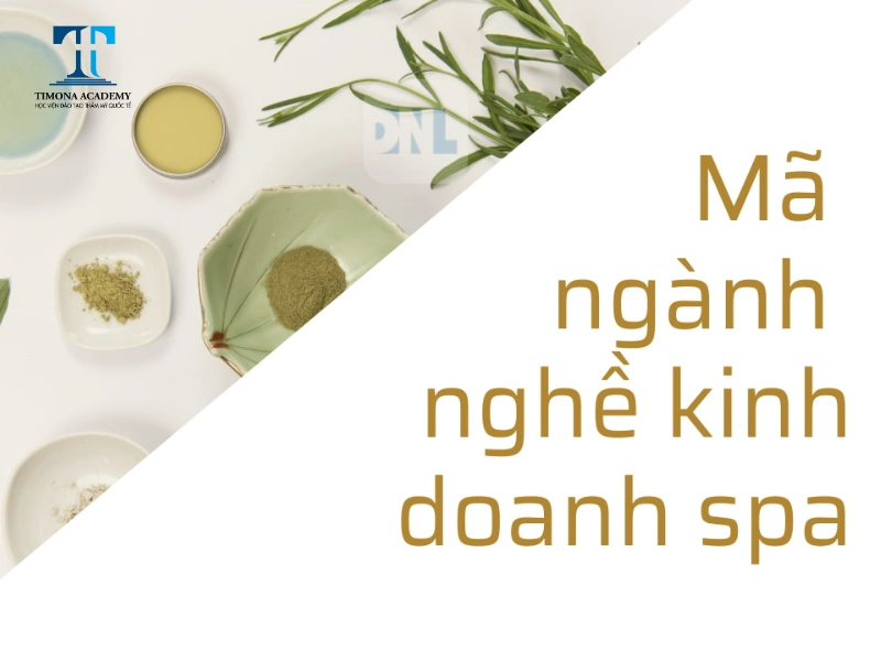 Chú ý đến mã ngành đăng ký khi mở spa