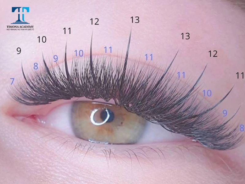 Cách nối mi katun đúng chuẩn