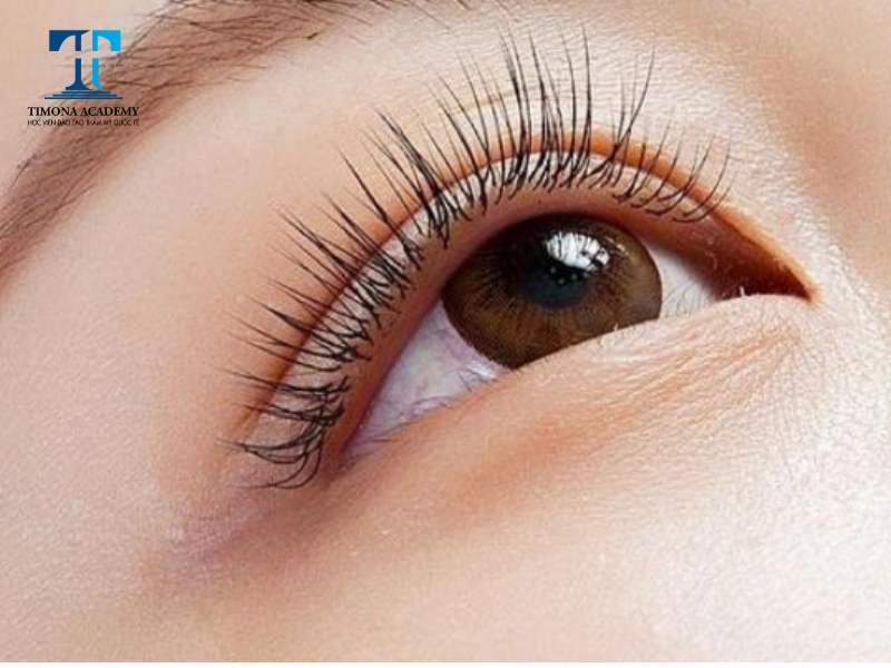 Mi sole đơn giản vô cùng cuốn hút