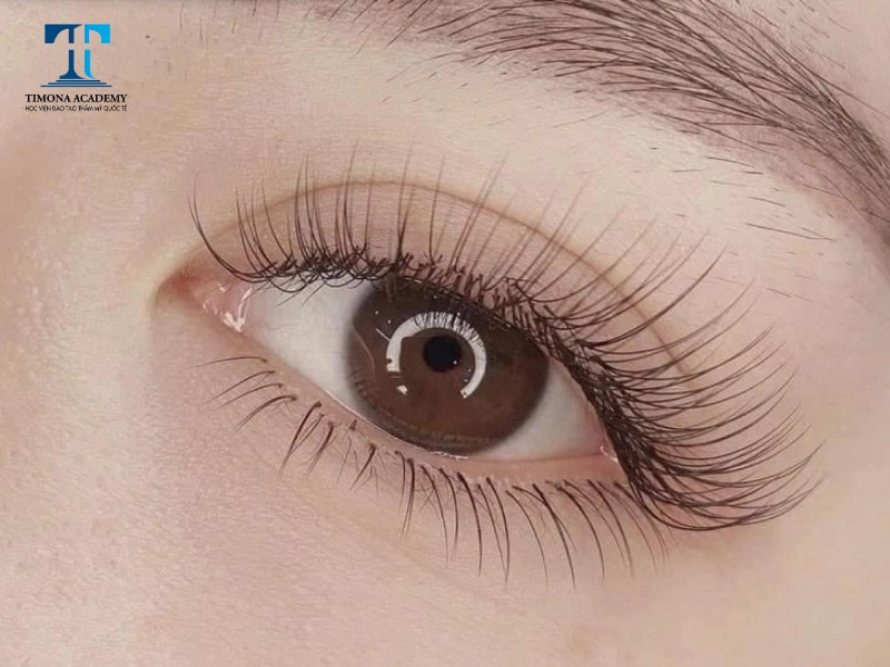 Nối mi là giải pháp thẩm mỹ thịnh hành hiện nay