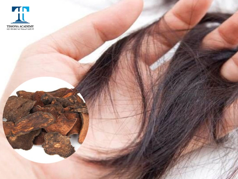 Hà thủ ô dưỡng tóc hiệu quả