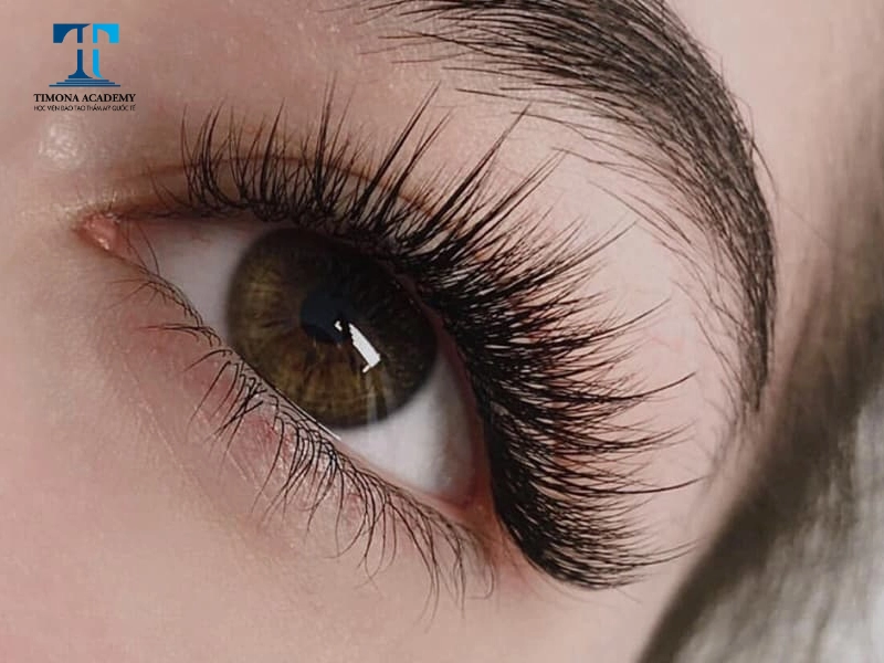Hàng mi với độ dày vừa đủ