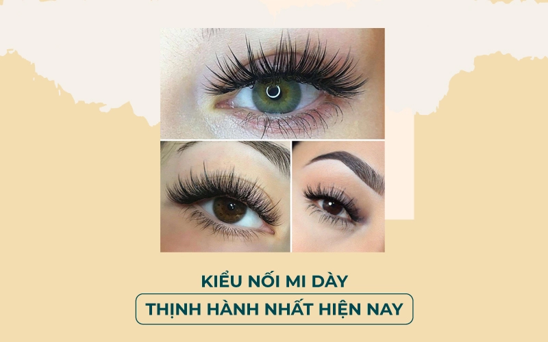nối mi dày như thế nào