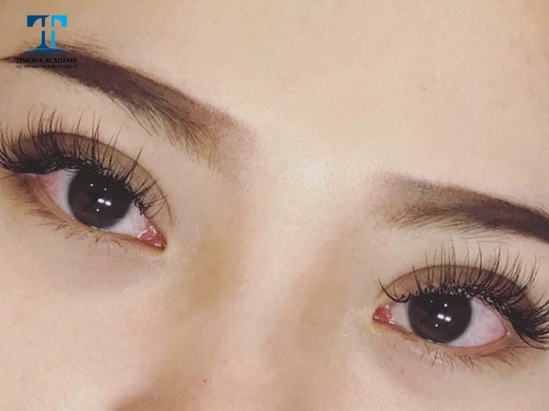 Nối mi hybrid thường sử dụng mi volume để tạo nền cho dáng mi