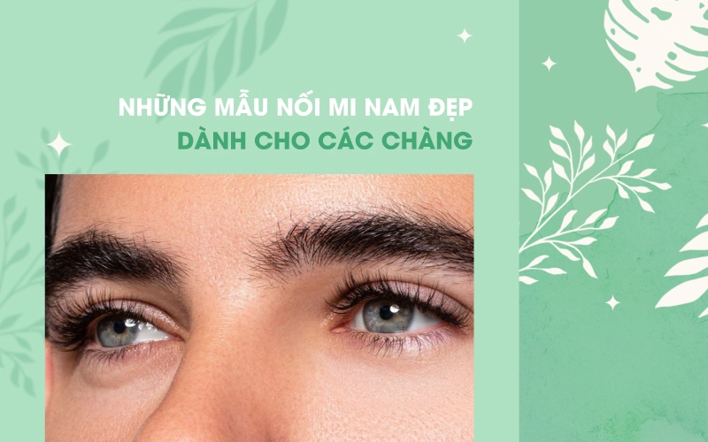 nối mi nam giới