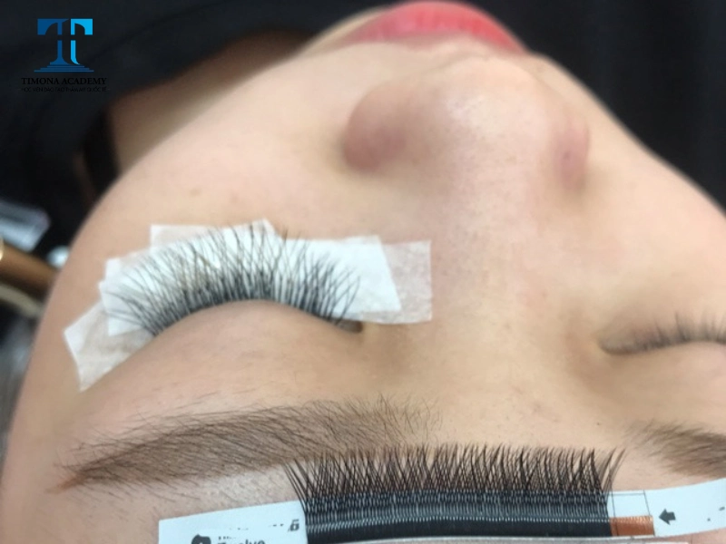 Quy trình nối mi chữ y tương tự những kỹ thuật nối mi khác