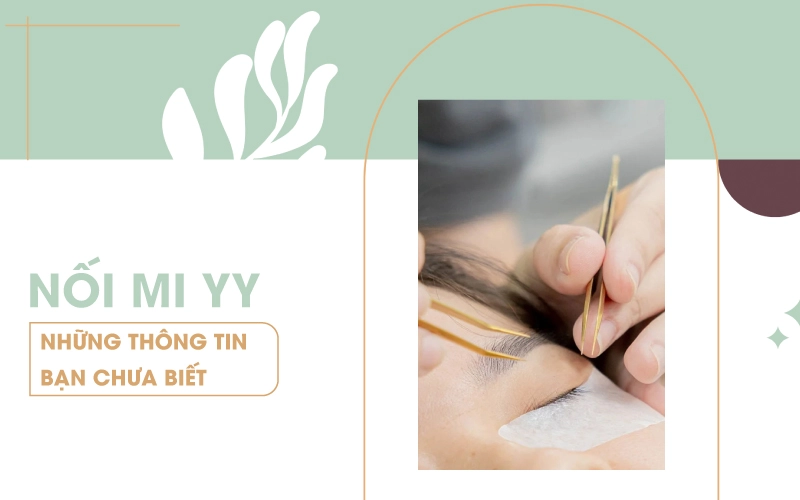 hướng dẫn nối mi yy