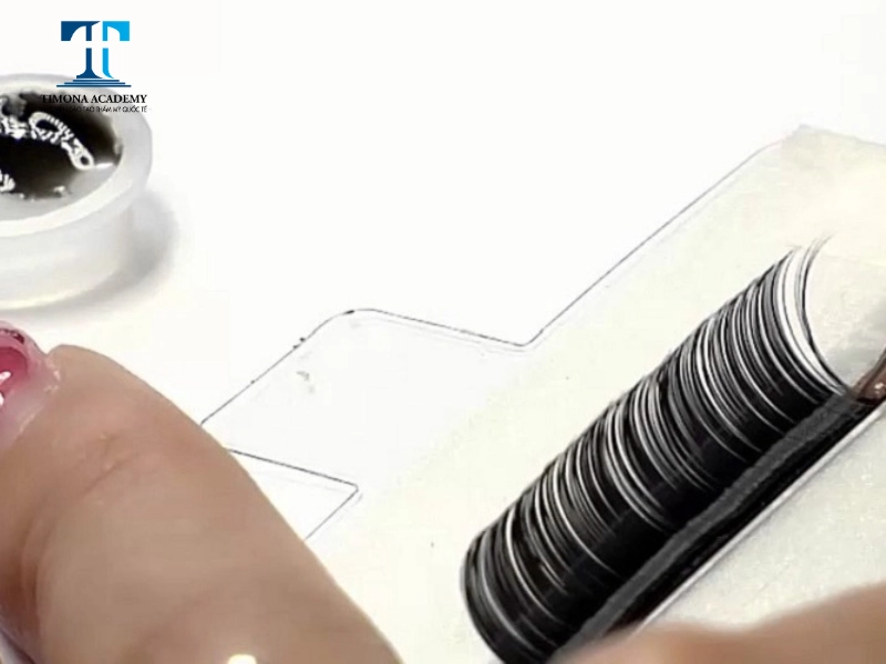 Fan mi gồm nhiều sợi mi nối lại với nhau 