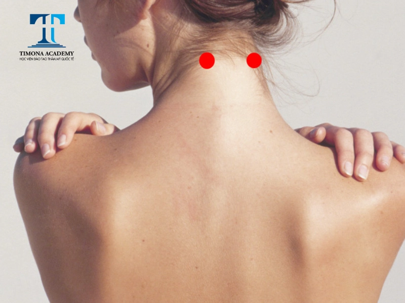 Vị trí huyệt phong trì trên cơ thể
