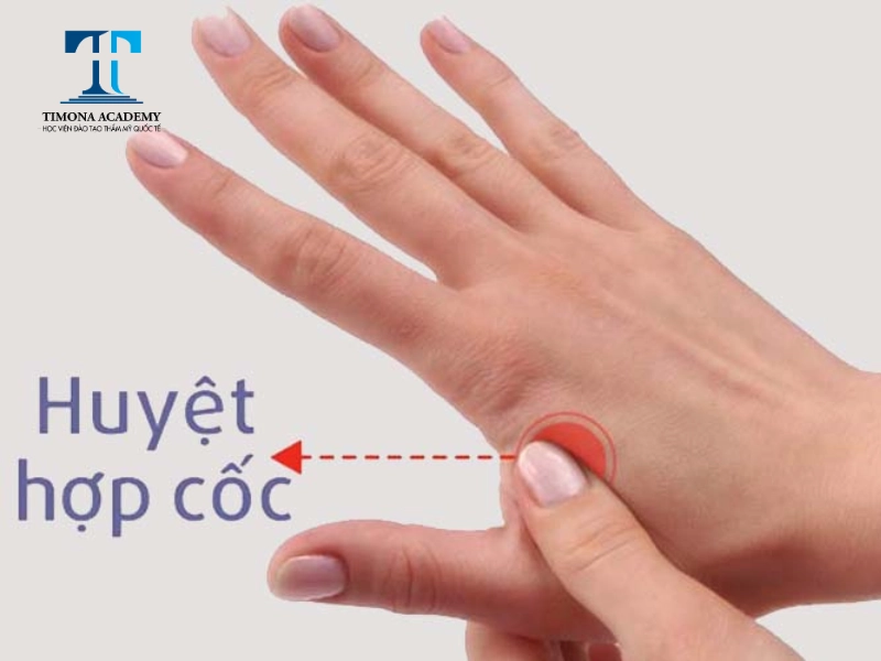 Vị trí huyệt hợp cốc nằm mở bàn tay