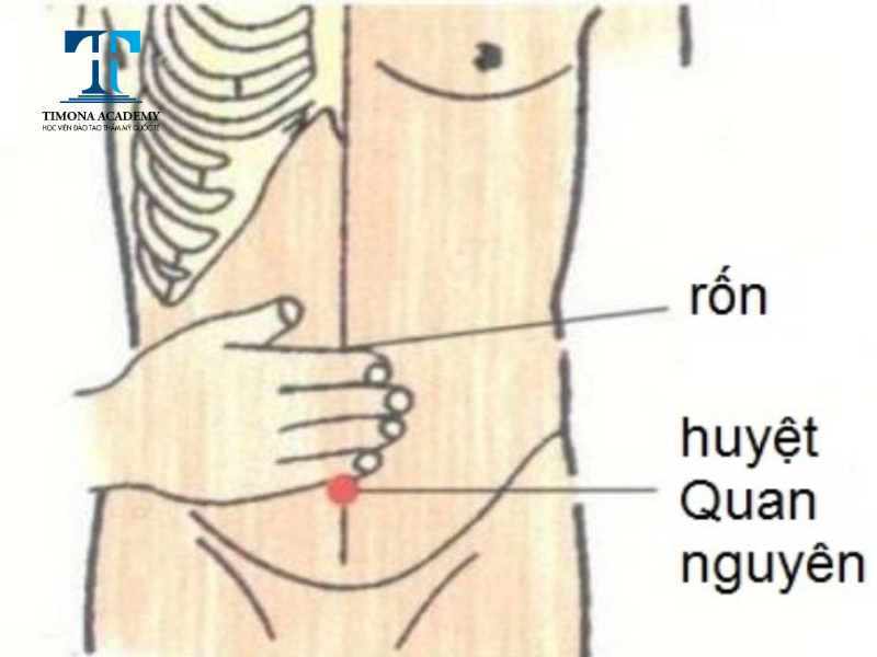Huyệt quan nguyên