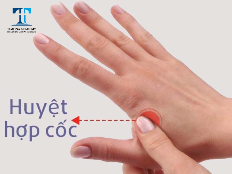Huyệt hợp cốc
