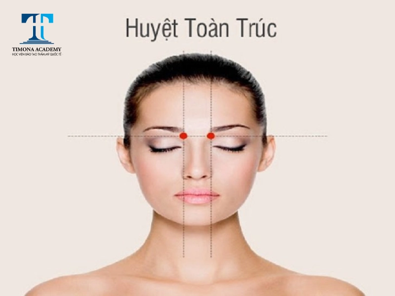 Huyệt toàn trúc