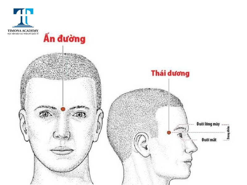 Massage huyệt ấn đường và thái dương là phương pháp giúp giảm đau đầu hiệu quả