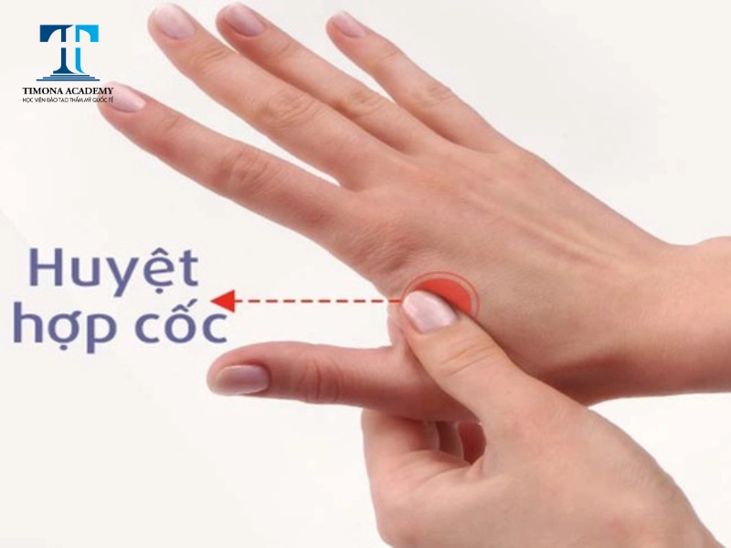 Massage huyệt hợp cốc giảm đau đầu hiệu quả