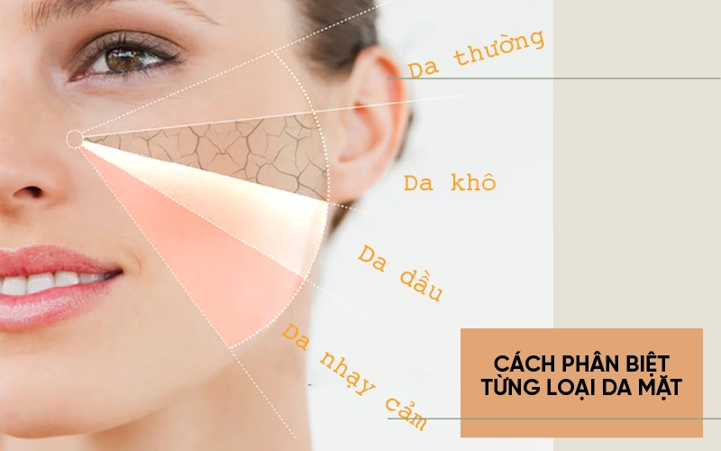 cách phân biệt loại da mặt