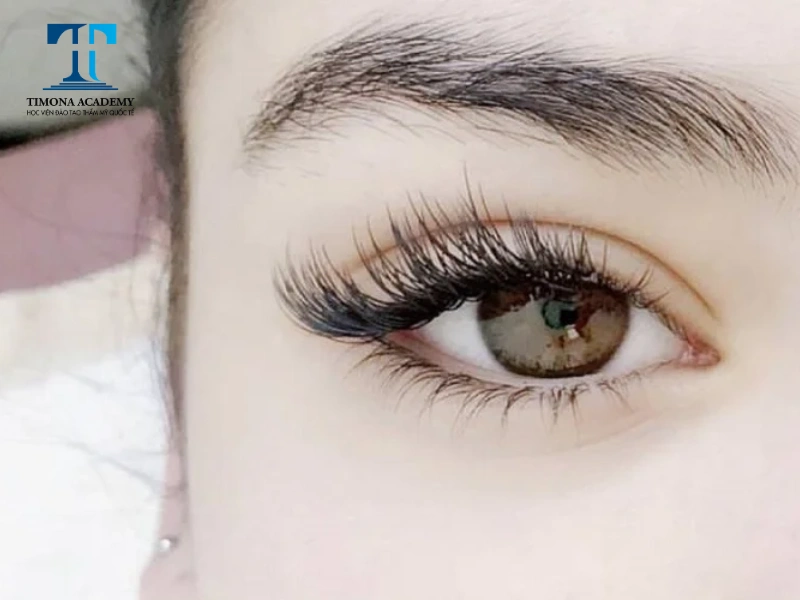 Thử thách kỹ năng nối mi tại nhà với kiểu mi đuôi cá