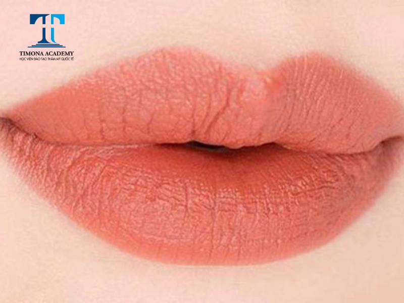 Màu cam đất được lựa chọn nhiều