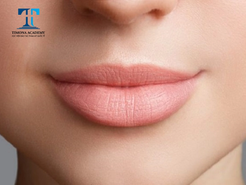 Màu hồng nude với vẻ đẹp tự nhiên