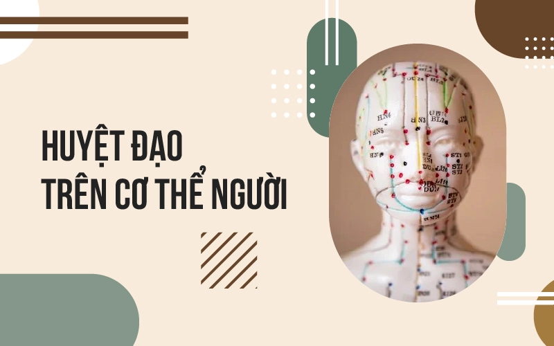 phương pháp bấm huyệt