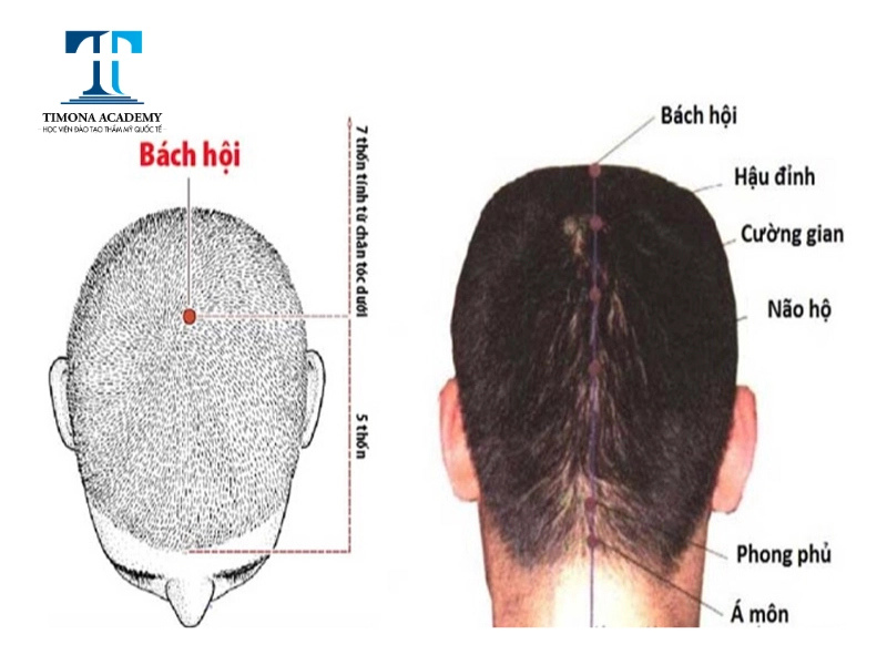 Huyệt đạo quan trọng trong bấm huyệt