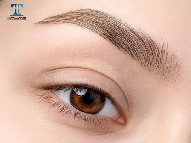 Điêu khắc chân mày 6D bước tiến vượt bậc trong ngành thẩm mỹ chân mày