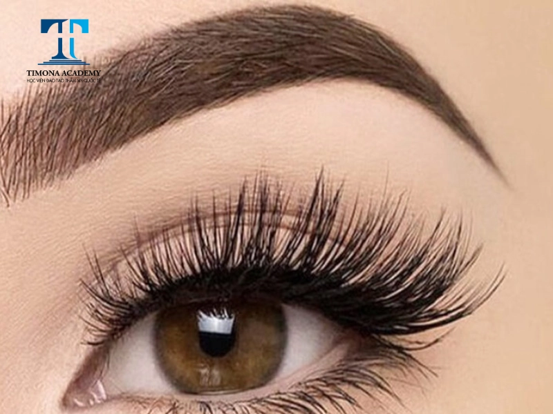 Kiểu nối mi mắt nai được nhiều người yêu thích