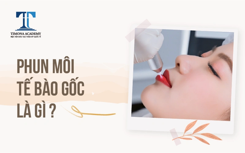 phun môi tế bào gốc là như thế nào
