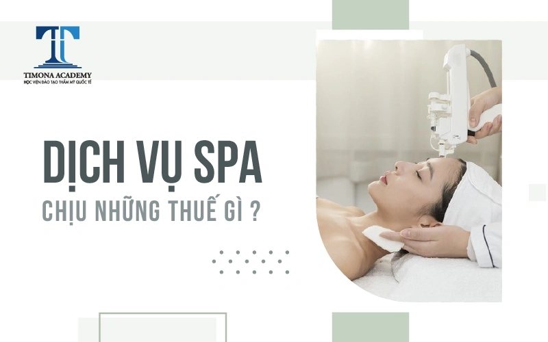dịch vụ spa chịu thuế gì