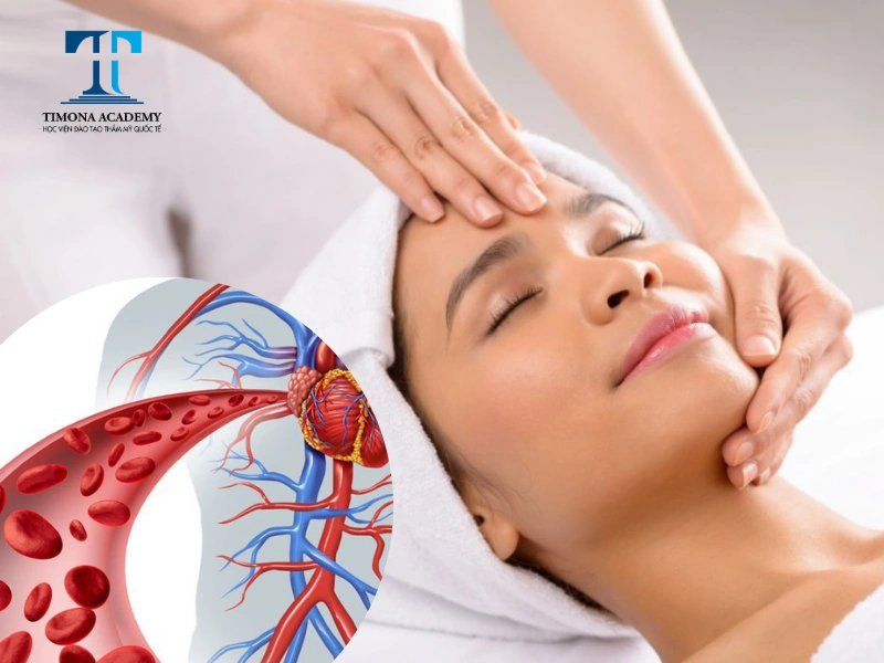 Massage mặt giúp tăng cường lưu thông máu