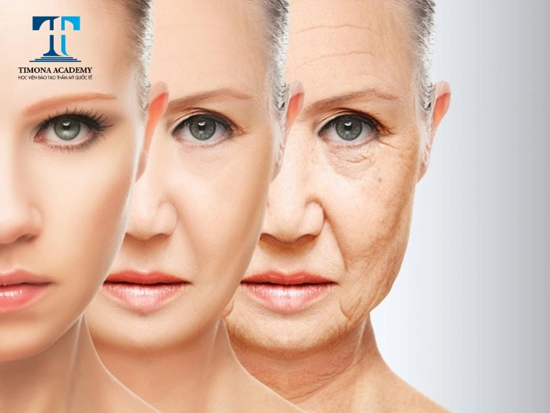 Chăm sóc da lão hóa là nền tảng vững chắc cho một cuộc sống khỏe mạnh và tươi trẻ
