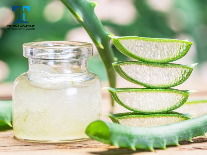 Nha đam có chứa nhiều loại vitamin hỗ trợ làm đầy sẹo lõm hiệu quả