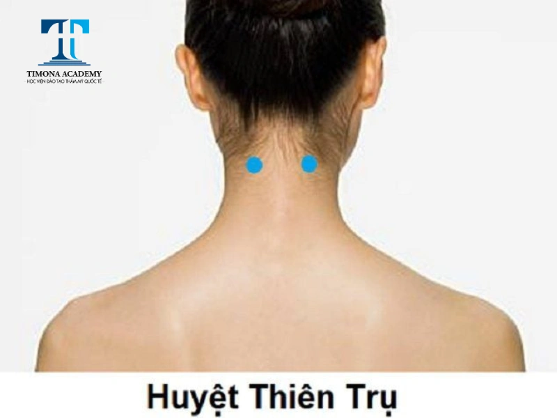 Vị trí huyệt thiên trụ giúp trị đau vai gáy
