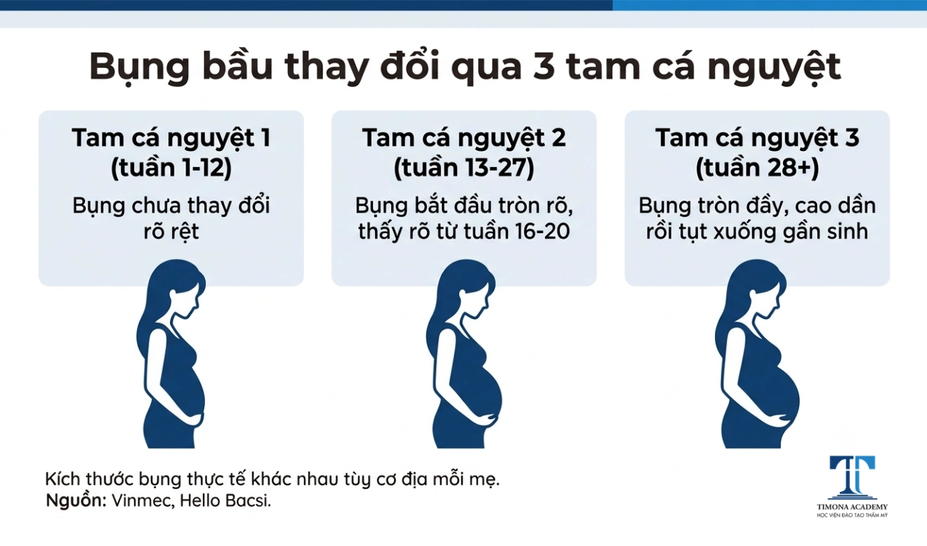 Timeline thay đổi bụng bầu qua các tam cá nguyệt