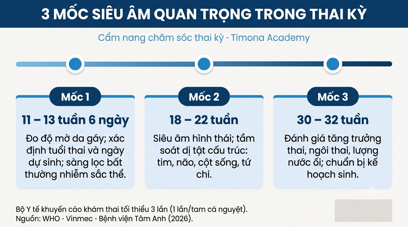 3 Mốc siêu âm quan trọng trong thai kì mà mẹ cần nhớ