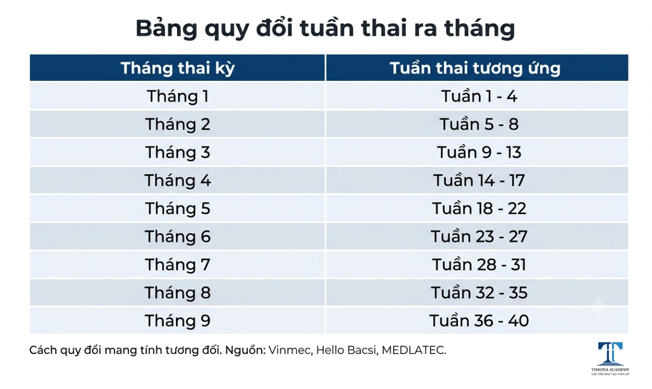 Bảng quy đổi tuần thai ra tháng chuẩn